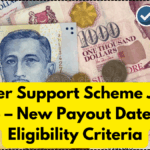 Silver Support Scheme June 2025 – New Payout Dates and Eligibility Criteria