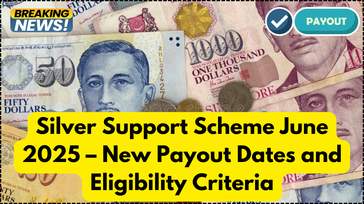 Silver Support Scheme June 2025 – New Payout Dates and Eligibility Criteria