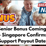 $900 Senior Bonus Coming in July 2025 – Singapore Confirms Silver Support Payout Dates