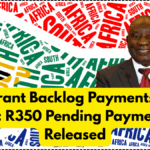 SRD Grant Backlog Payments 2025 SA: R350 Pending Payments Released