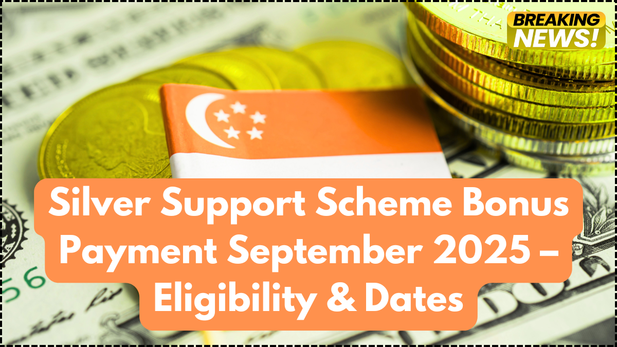 Silver Support Scheme Bonus Payment September 2025 – Eligibility & Dates