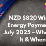 NZD $820 Winter Energy Payment in July 2025 – Who Gets It & When